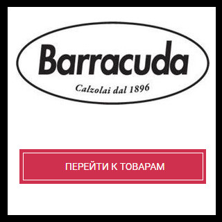 barracuda-1.jpg